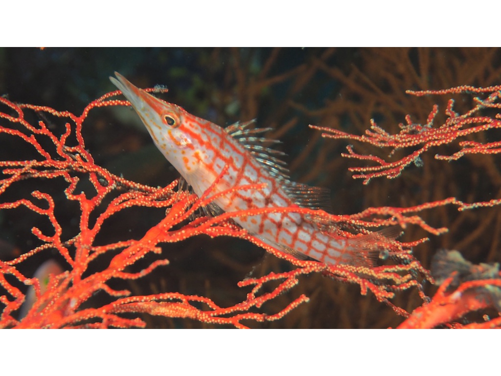 PN190930 - Version 2 PN190930 - Version 2